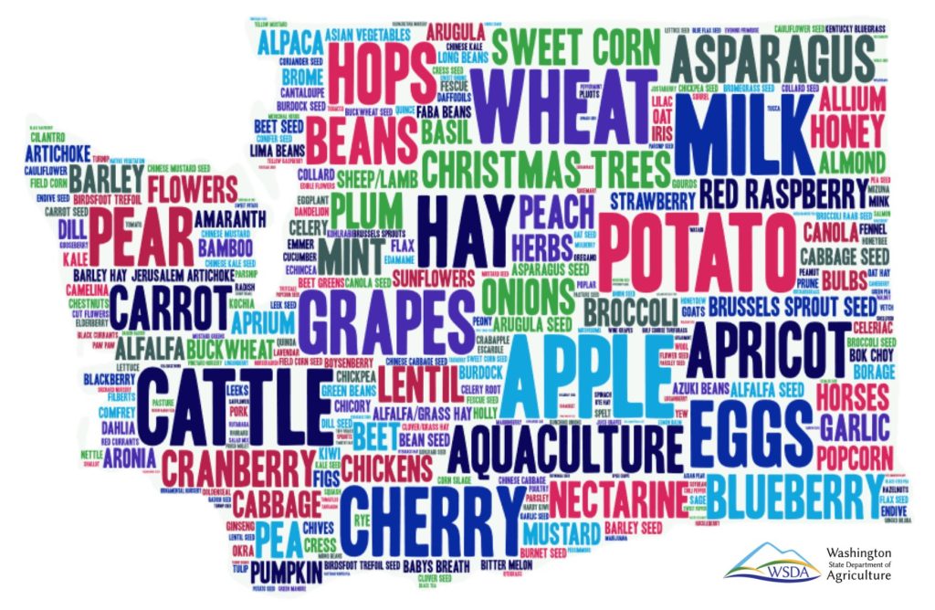photo of Washington made of words of foods harvested