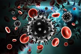 HIV virus in the bloodstream