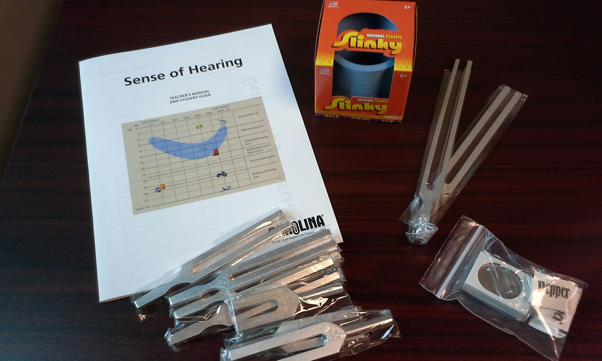 Sense of Hearing Lab Activity