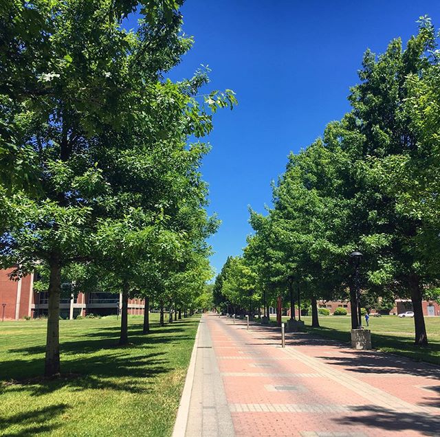 campus in the summer