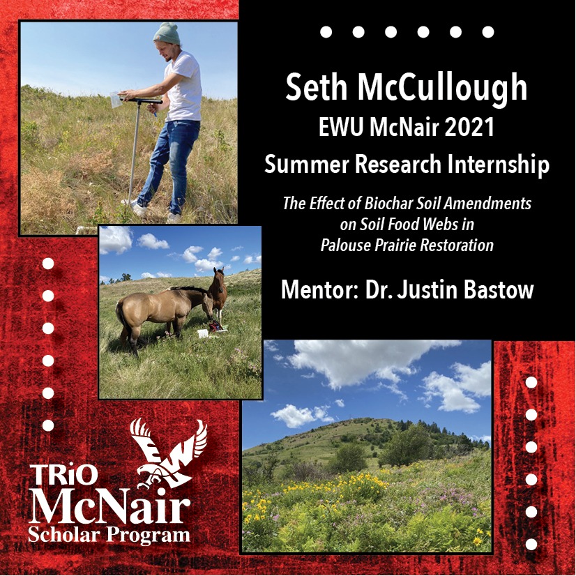 Seth McCullough Completes Summer Research Internship