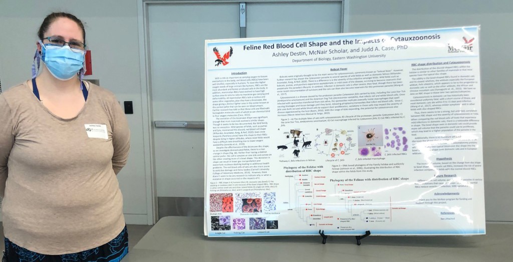 Ashley Destin presents her research poster, Feline Red Blood Cell Shape and the Impacts of Cytauxzoonosis.