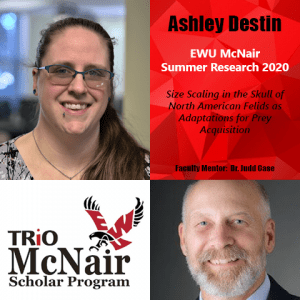 Ashley Destin Research 2020