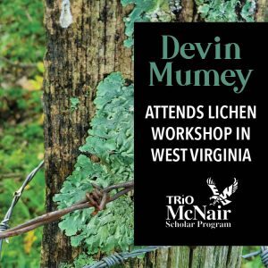 Devin Mumey attends lichen workshop in West Virginia