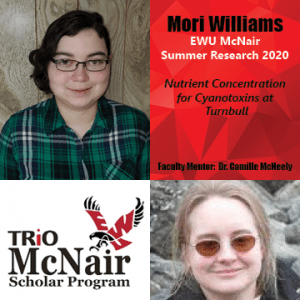 Mori Williams Research 2020