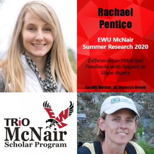 Rachael Pentico Research 2020