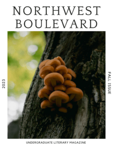 Cover of the Fall 2023 issue of the Northwest Boulevard magazine. It features a close up photo of round brown fungi on a team with a forest background