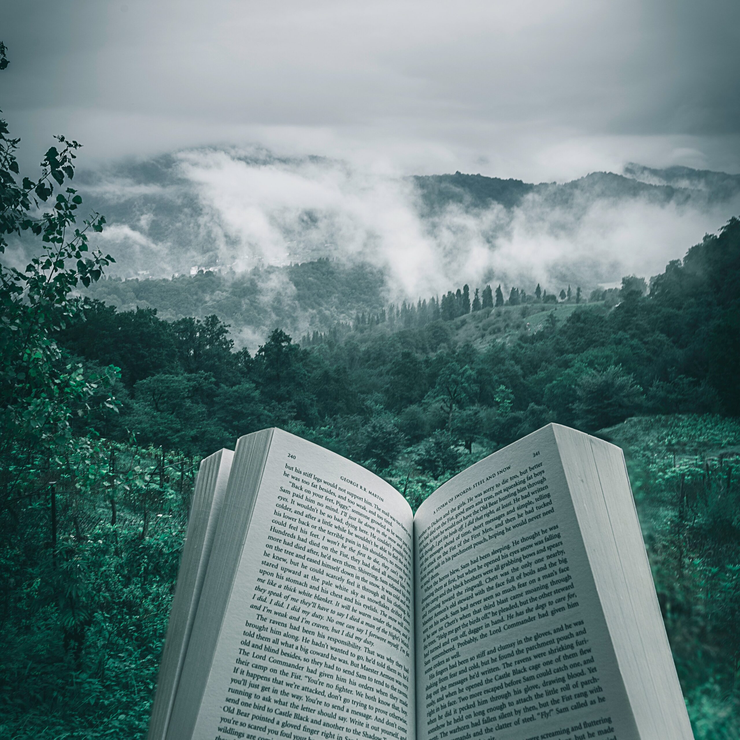 photo of a book in someone's hand. The view is a forest with a cloudy sky