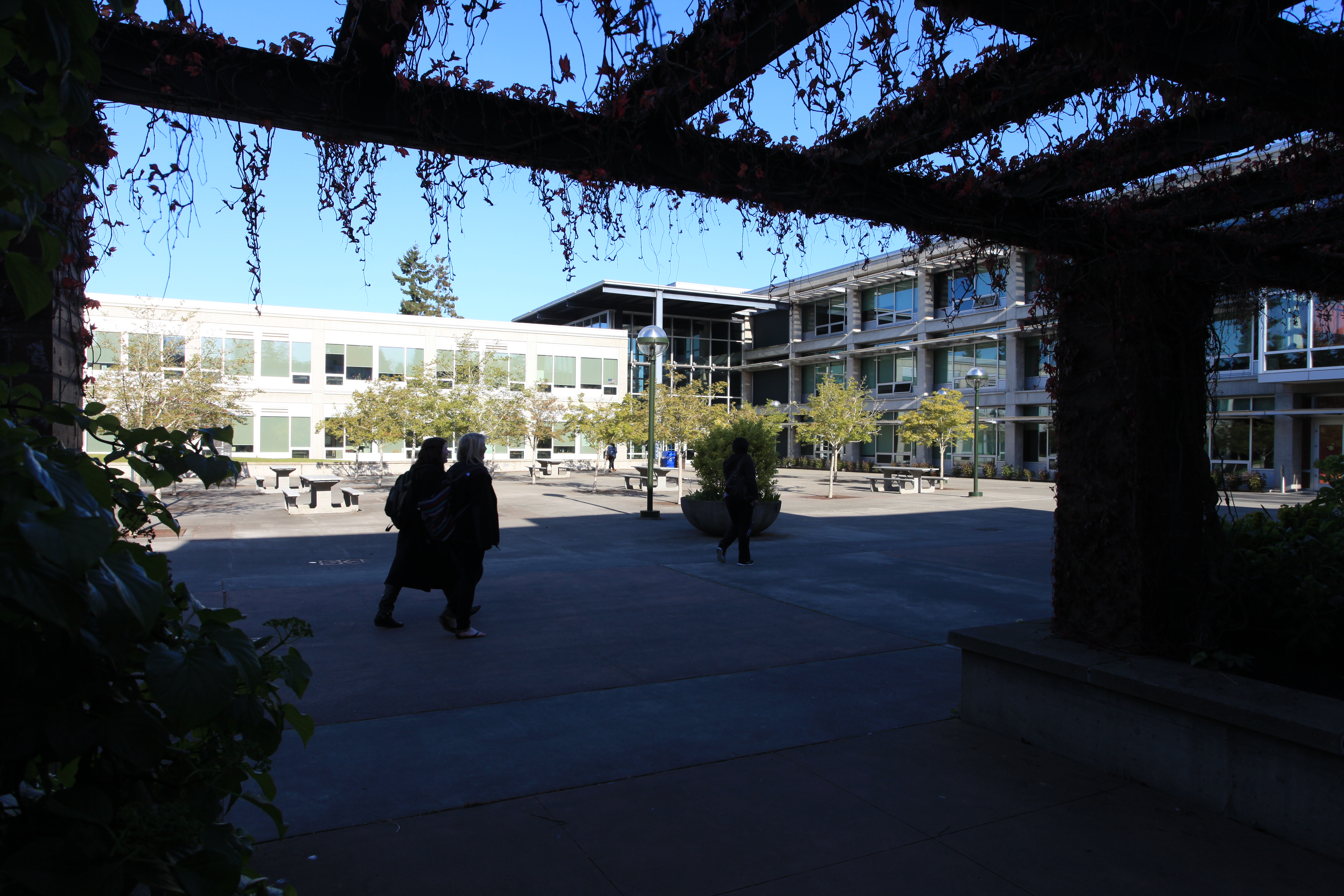 people walking on Bellevue campus