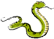 clip art of a green snake. It has orange eyes and sticking its tongue out.