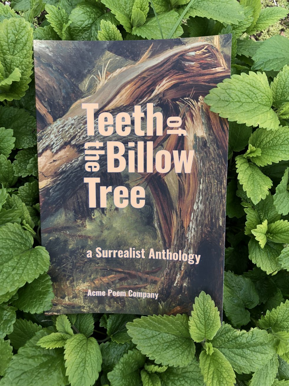 Teeth of the Billow Tree