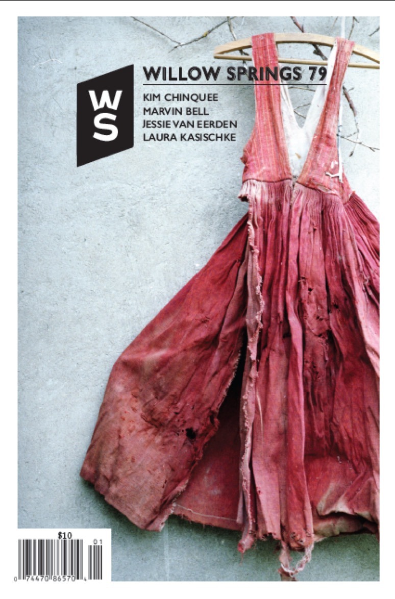 Willow Springs issue 79 cover shows photo of a pink dress against a concrete background.