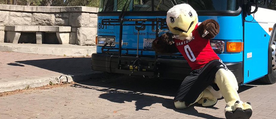 Photo: Swoop with STA Bus